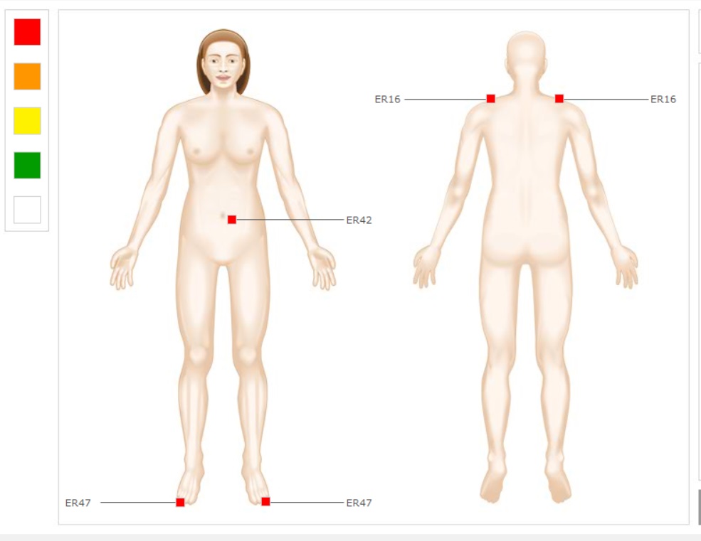 The Body Scan Technique Module One: Supporting the Physical Body with  Essential Oils and Bio-energetic Corrections